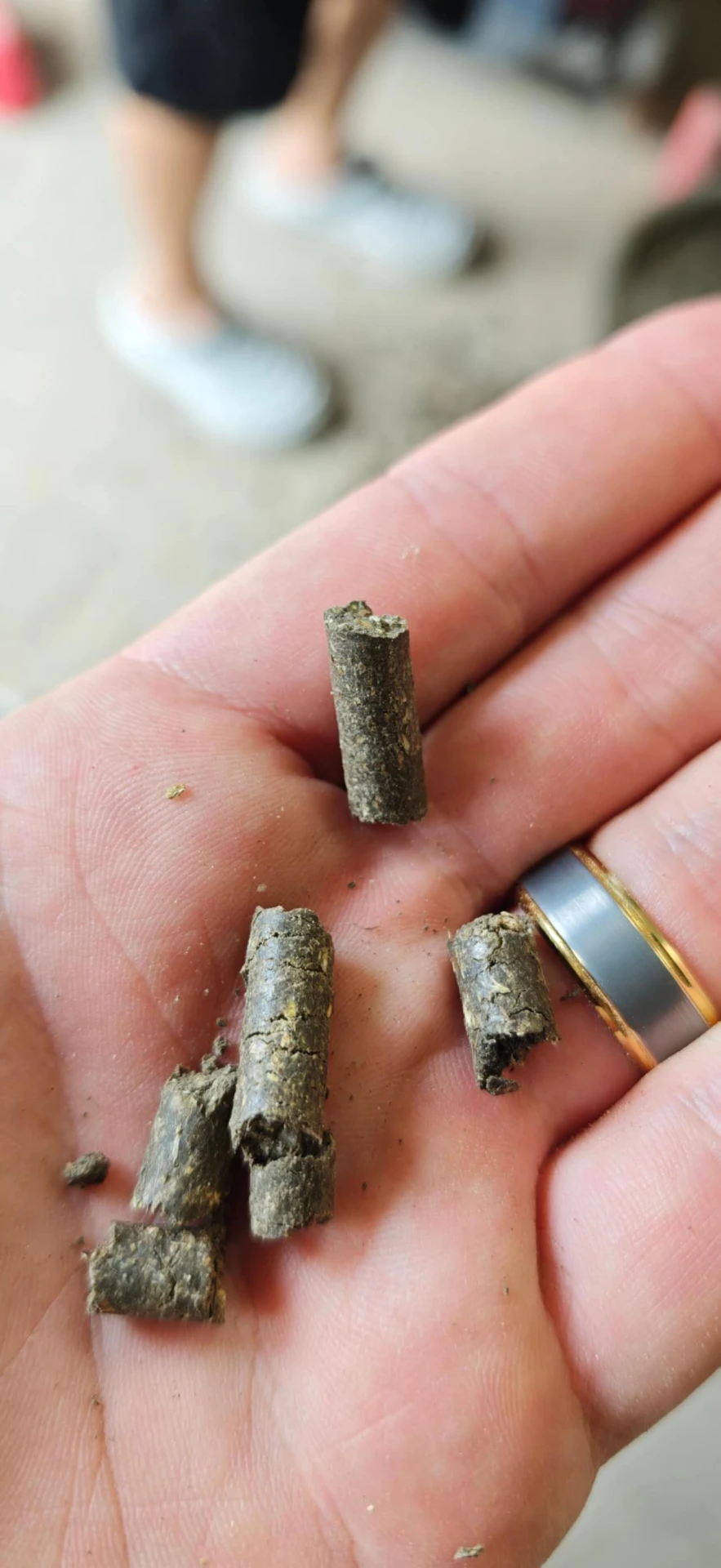 Pellet Machine RI-PM160D photograph 8