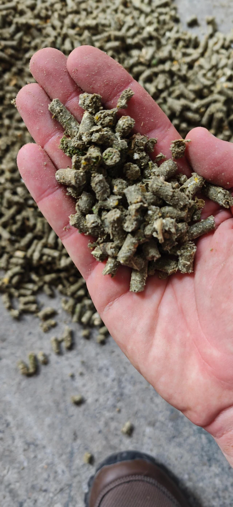 Pellet Machine RI-PM160D photograph 6